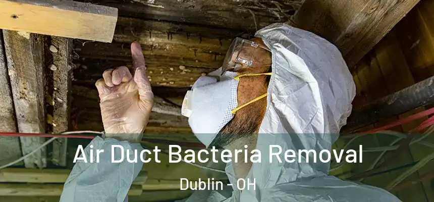  Air Duct Bacteria Removal Dublin - OH