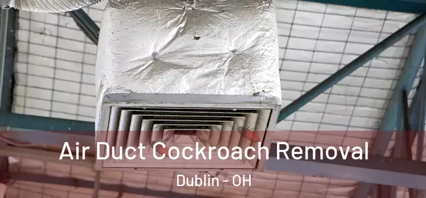  Air Duct Cockroach Removal Dublin - OH