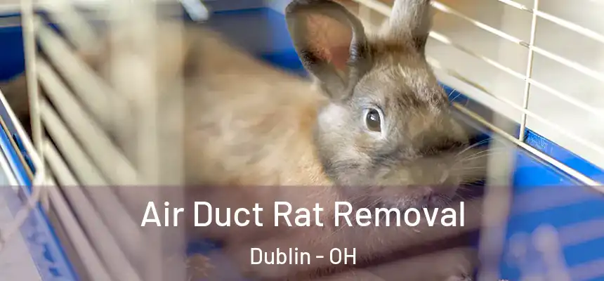  Air Duct Rat Removal Dublin - OH