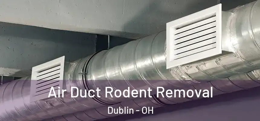  Air Duct Rodent Removal Dublin - OH
