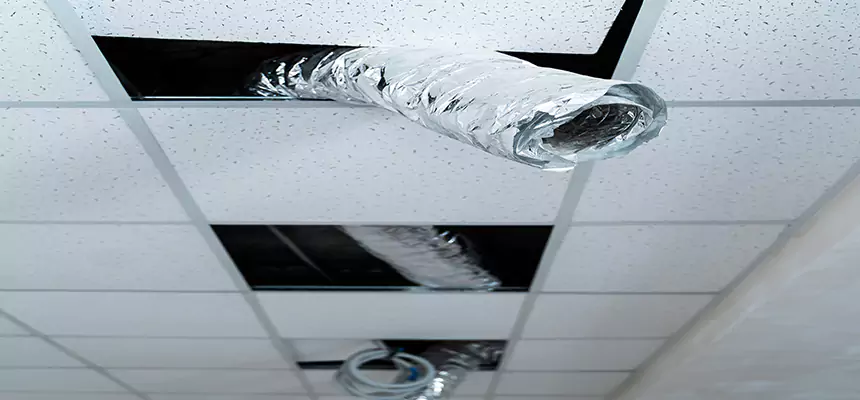 Our Air Duct Pet Hair Removal Services in Dublin, OH