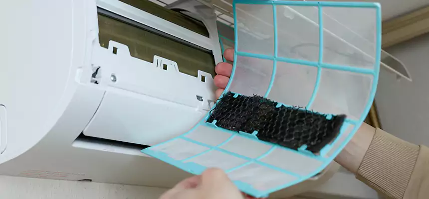 Gentle Ductwork Odor-Control Pet Dander Duct Cleaning in Dublin, OH