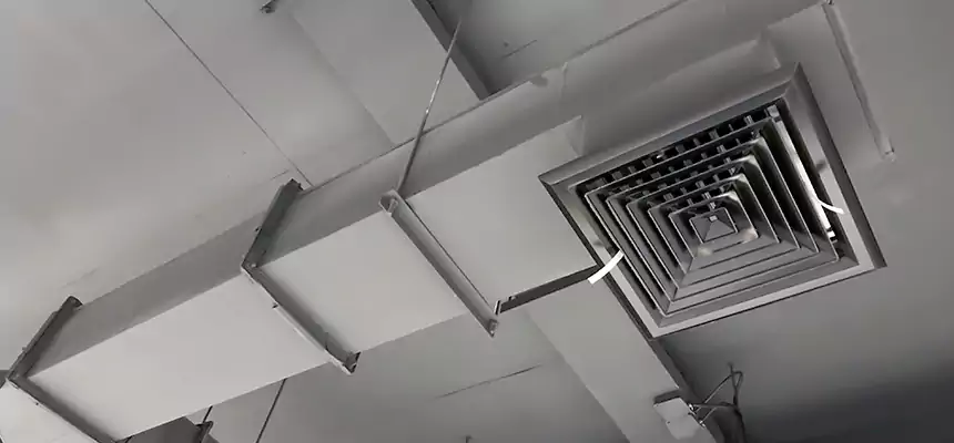 Our Rodent Droppings In Vents Services in Dublin, OH