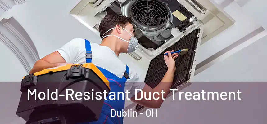  Mold-Resistant Duct Treatment Dublin - OH