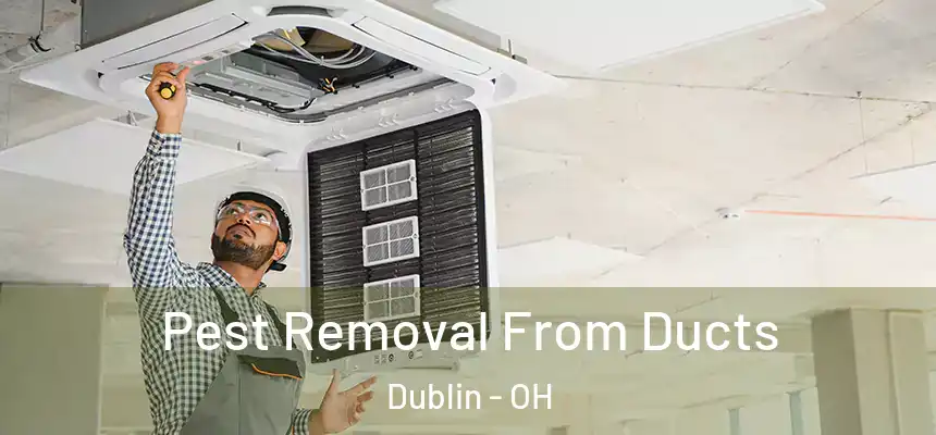 Pest Removal From Ducts Dublin - OH