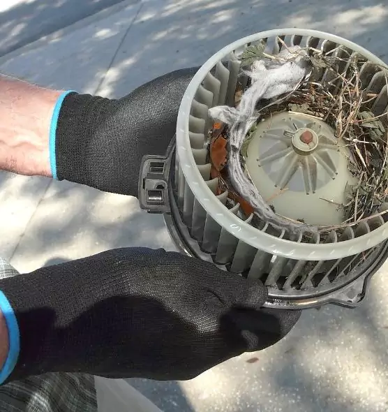 About Air Duct Mice Removal in Dublin, OH