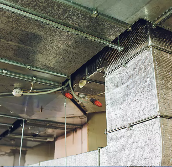 Why Homeowners & Businesses Trust Us in Dublin, OH?