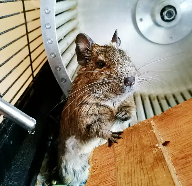 Why Homeowners & Businesses Trust Us Dublin, OH?